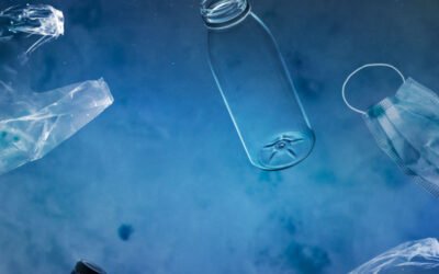 Reciclar no es suficiente